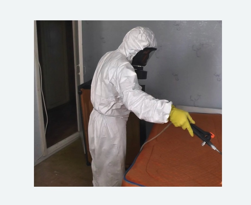 %D0%94%D0%B5%D0%B7%D0%B8%D0%BD%D1%81%D0%B5%D0%BA%D1%86%D0%B8%D1%8F%20%D0%BD%D0%B0%D1%81%D0%B5%D0%BA%D0%BE%D0%BC%D1%8B%D1%85%20 ΠΊΠΈΠ½Π΅ΡΠΌΠ° ΡΡΡ Π½ΠΎΠΌΠ΅Ρ ΡΠ΅Π»Π΅ΡΠΎΠ½Π°